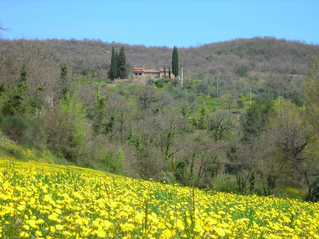 Allegro Agriturismo Argiano Arezzo Exterior foto